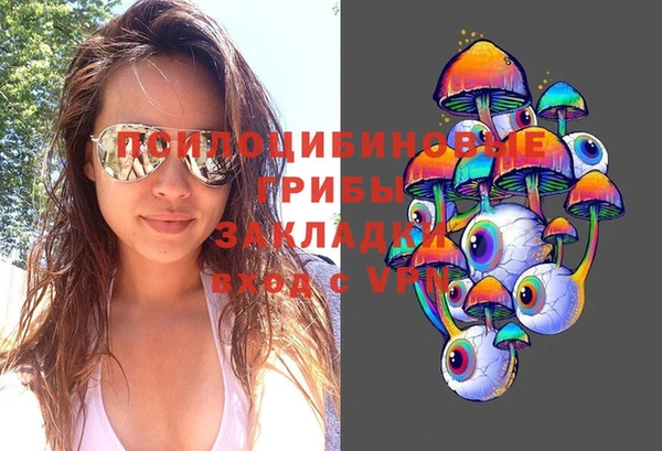 бошки Алзамай